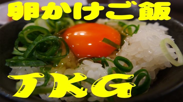 TKG 卵かけご飯が毎日無料のサービス! 食レポ/グルメレポ TKG食堂 #TKG