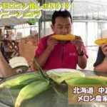甘いトウモロコシ『サニーショコラ』食レポ2019。まさにこれがスイートコーンだ。：北海道 富良野 メロン農家の寺坂農園